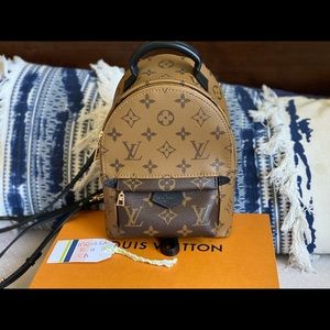 ❌SOLD❌Louis Vuitton Palm Springs Mini Reverse